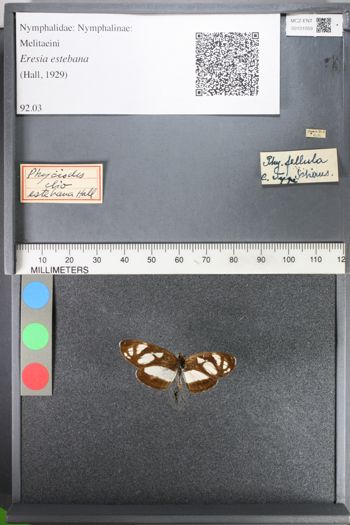 Media type: image;   Entomology 101059